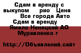 Сдам в аренду с выкупом kia рио › Цена ­ 1 250 - Все города Авто » Сдам в аренду   . Ямало-Ненецкий АО,Муравленко г.